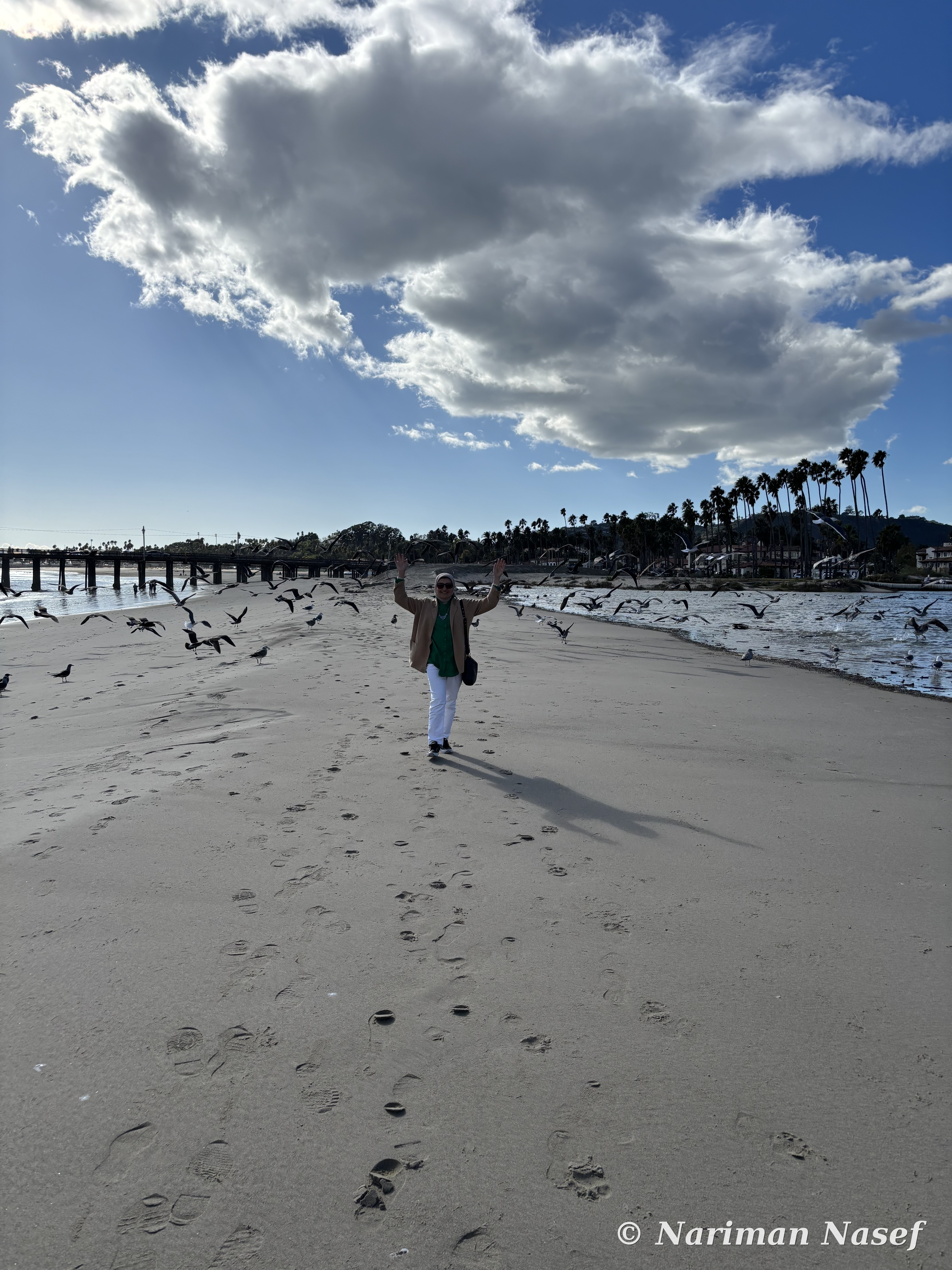 Walking the beach near Stearns Wharf, Santa Barbara