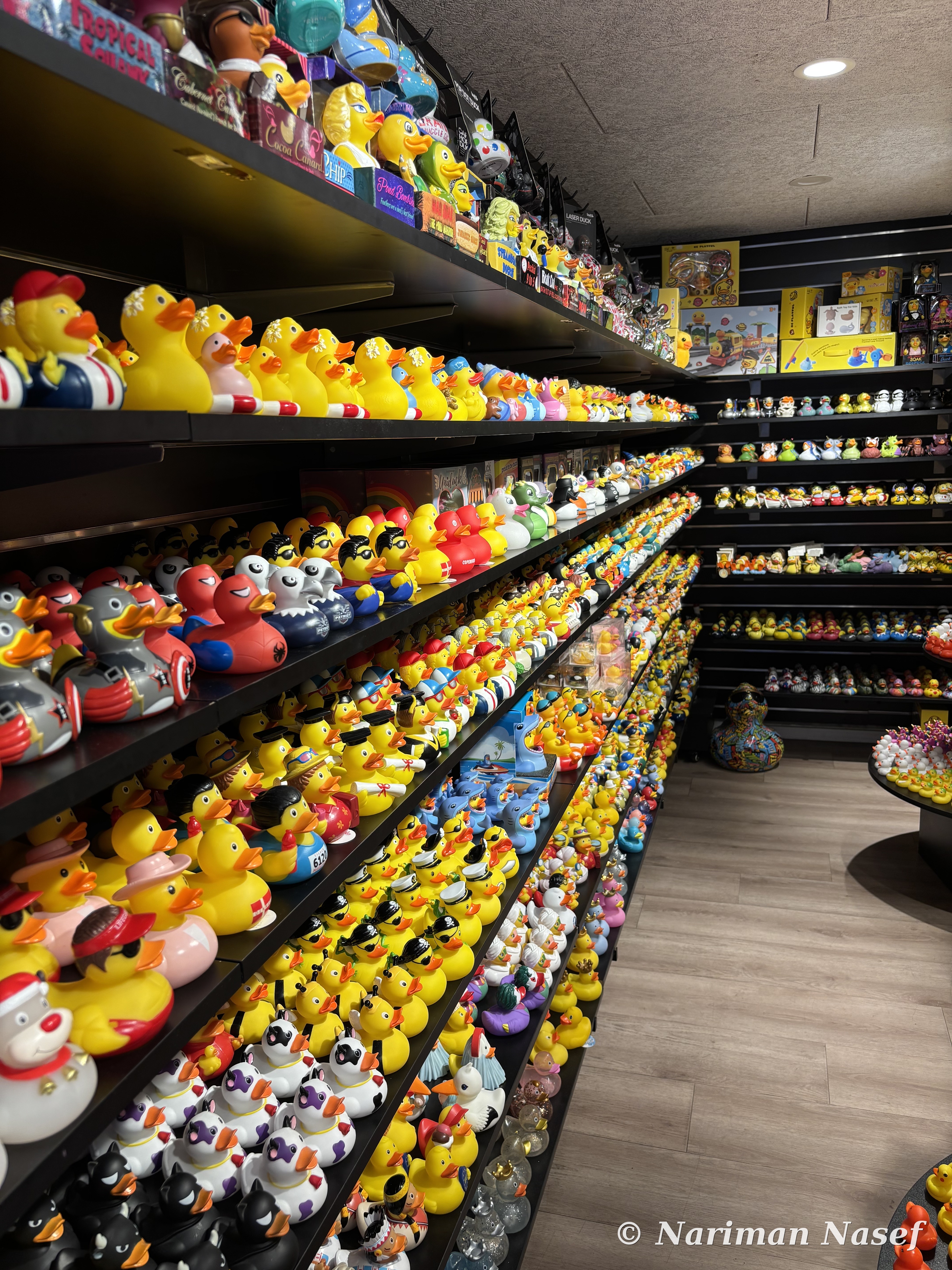 Shelves of rubber ducks