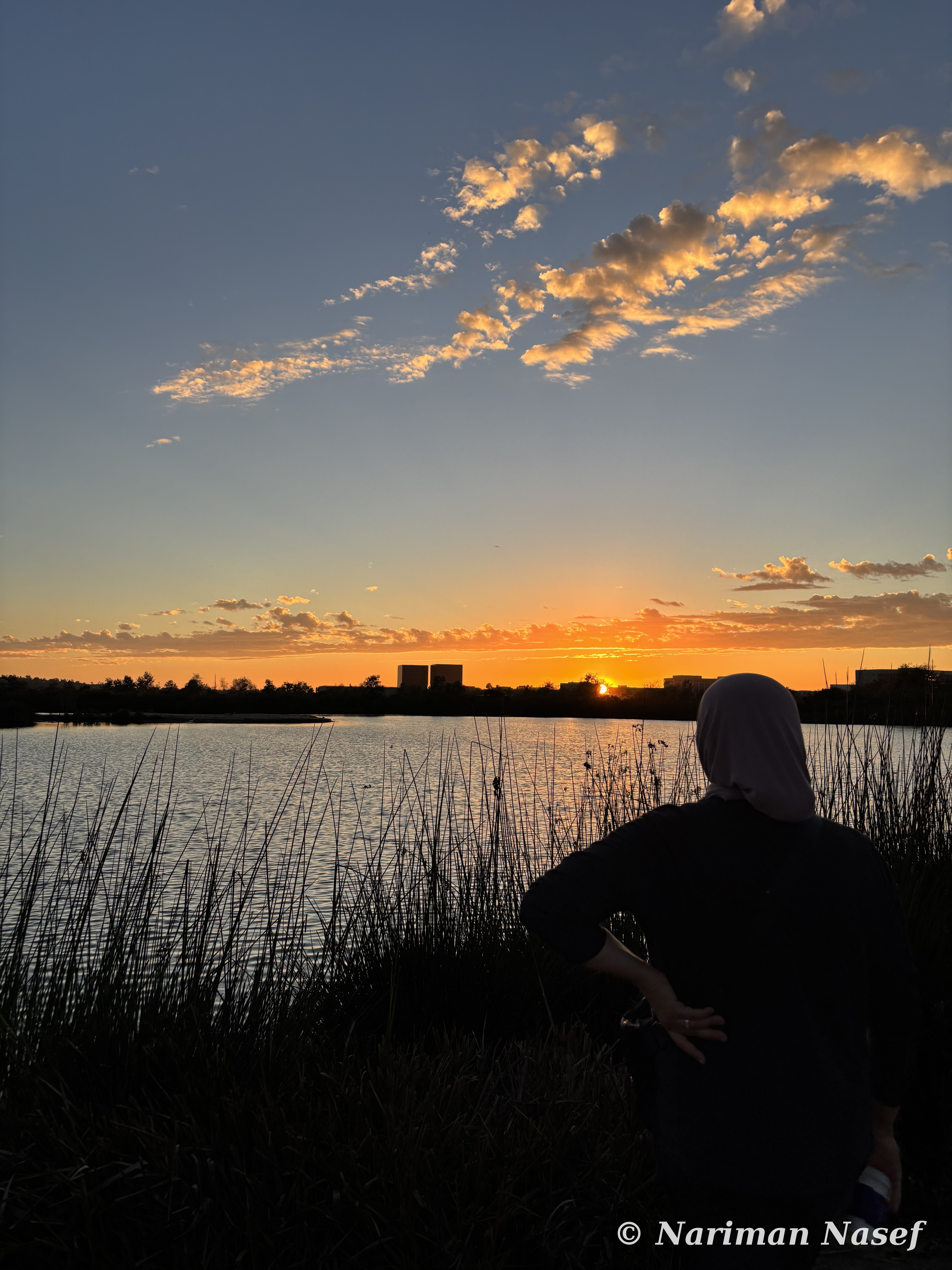 Silhouetted figure watching sunset over a marsh